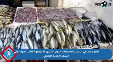 تغير جديد في أسعار الأسماك اليوم الاثنين 28 يوليو 2025.. تعرف على السعر الجديد للبلطي